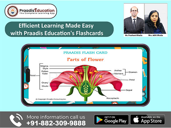 Efficient learning made easy with Praadis Education's flashcards