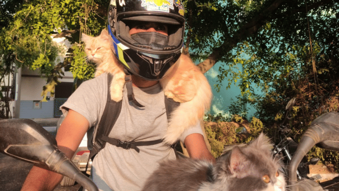 Sanu with his two cats Sulochana and Raghavan | Special arrangement