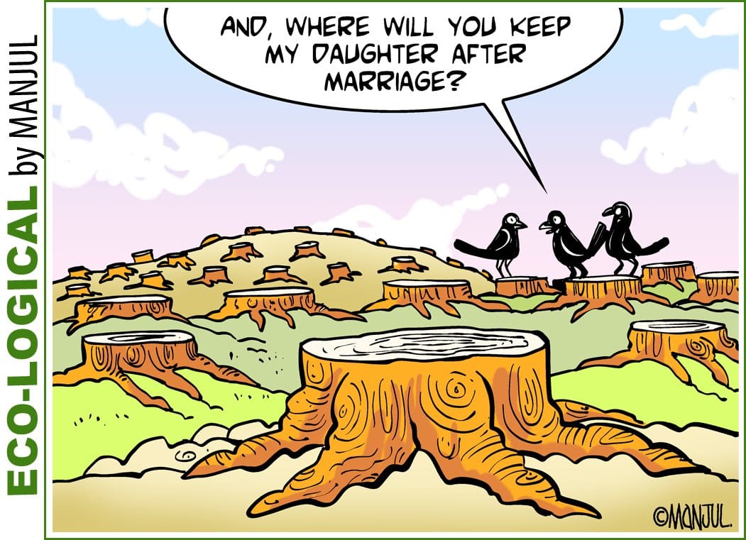 Manjul | Twitter @MANJULtoons