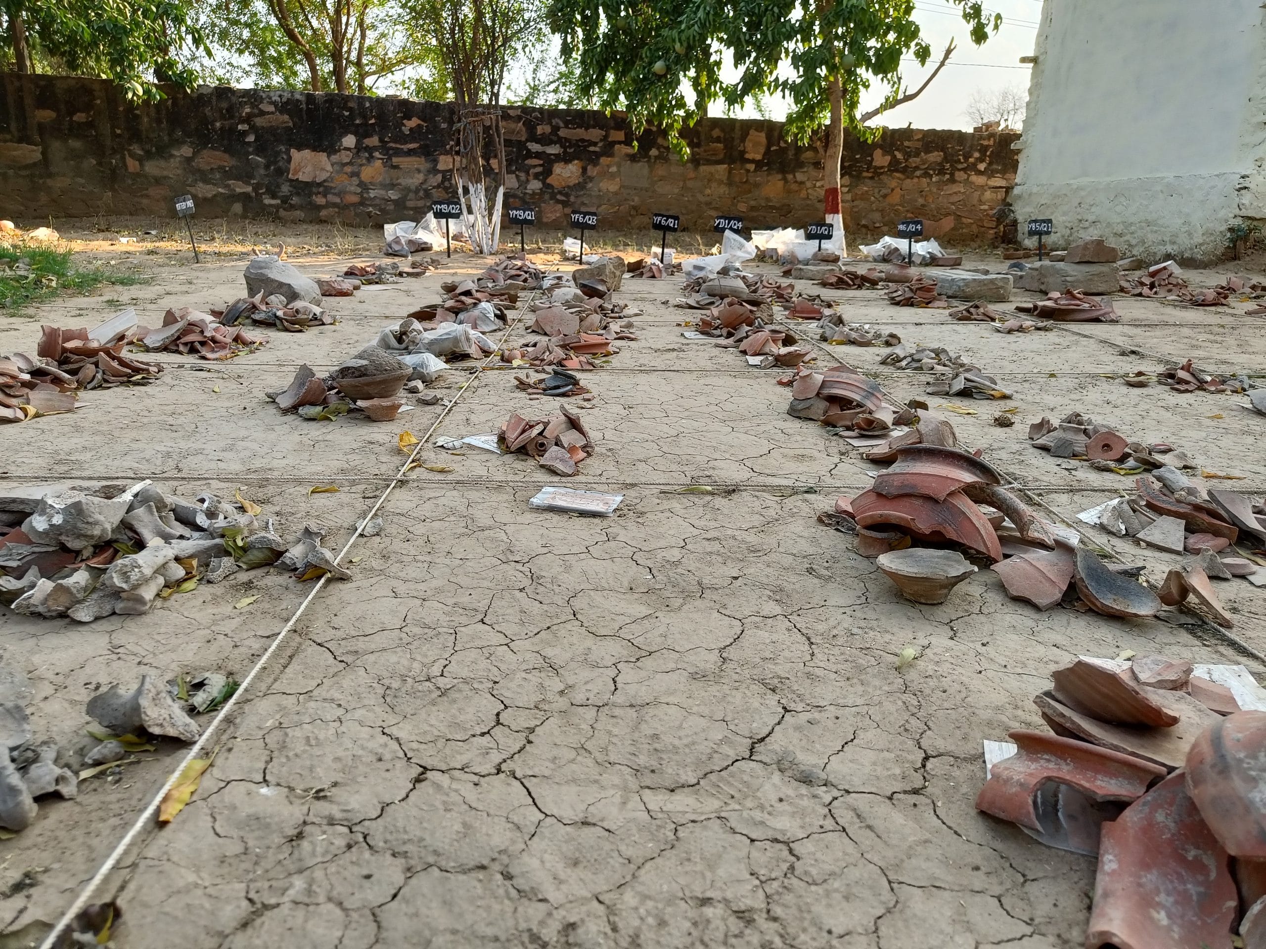 | Krishan Murari | ThePrint