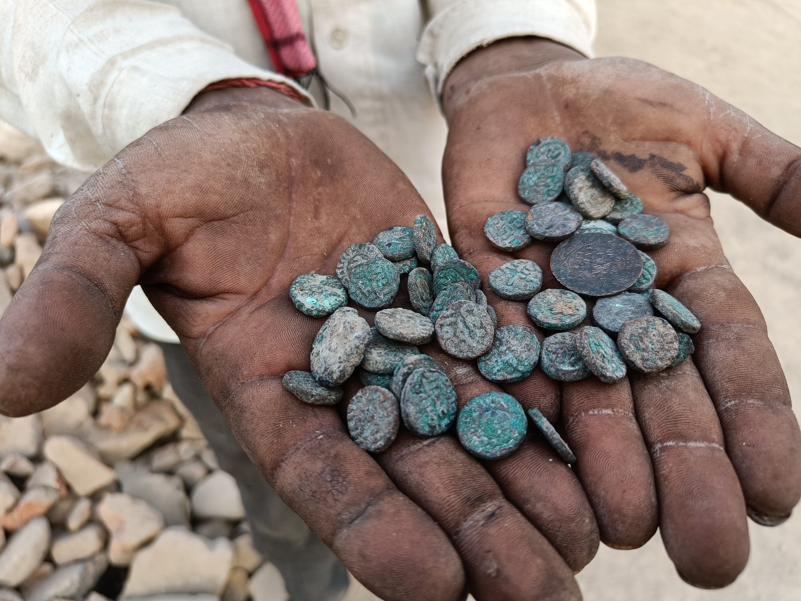 | Krishan Murari | ThePrint