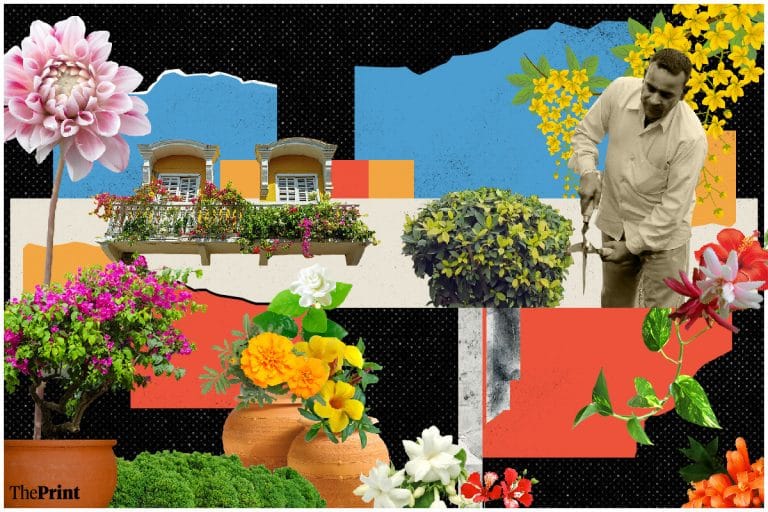 Delhi’s Masjid Nursery was a go-to flower shop for British—mud pot to gunny bags