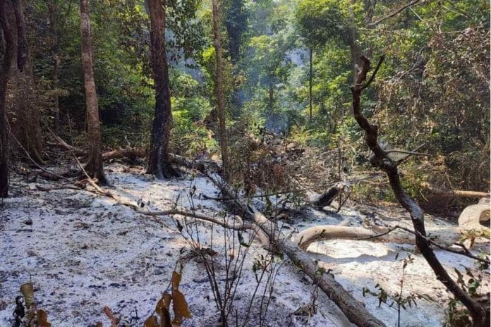 Mhadei Wildlife Sanctuary