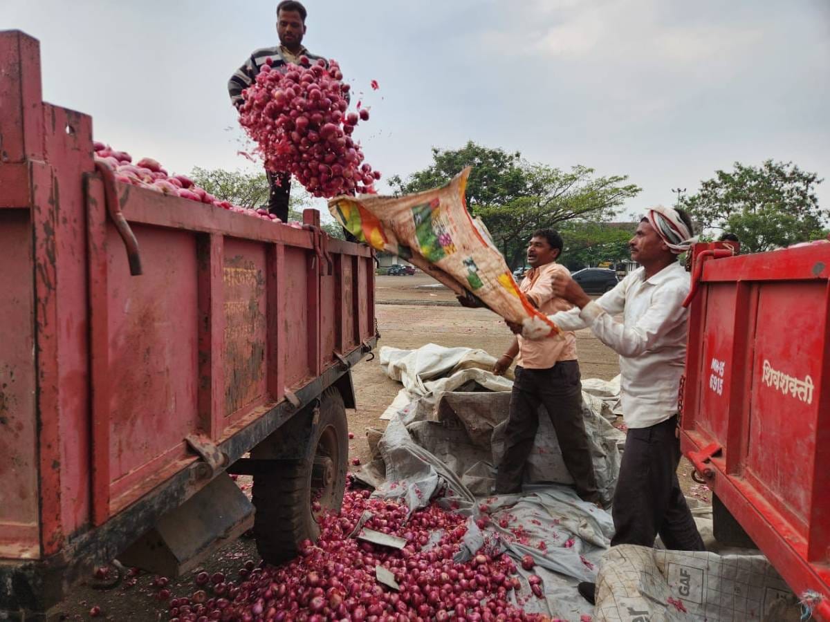Lasalgaon APMC market during auction | Photo Purva Chitnis | ThePrint