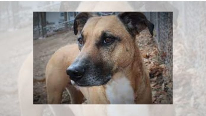 Image credits: Peakpexel