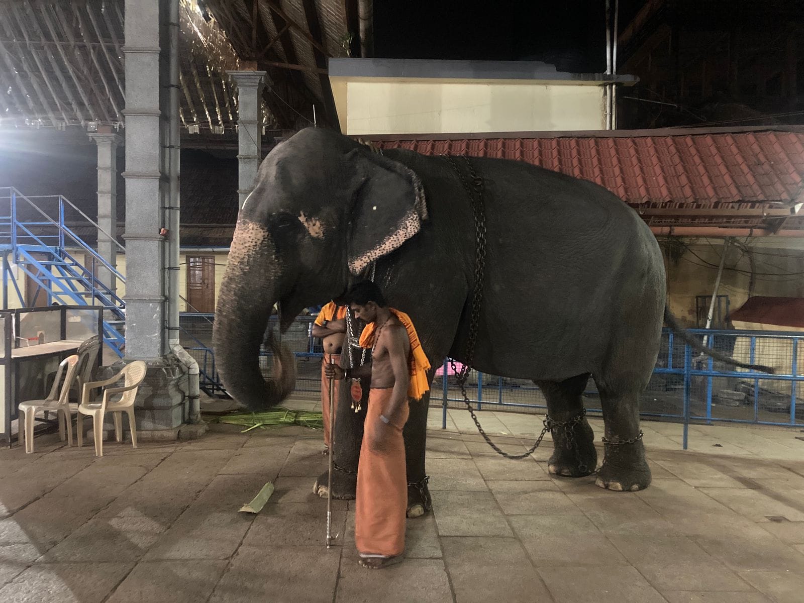 Minimol at Chottanikara Temple. | Vandana Menon, ThePrint