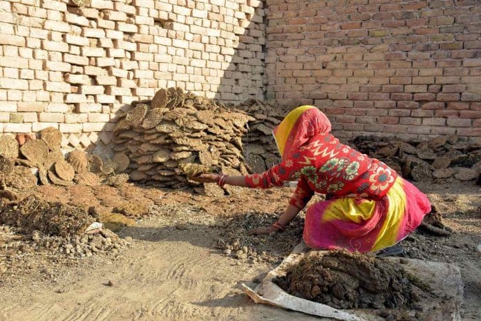 Representational image | ANI