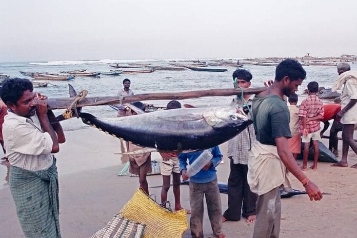 Fishermen at a beach in India | Representational image | Commons