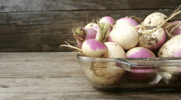 Turnips were once elite food in Britain. This is why the country fell out of love with them