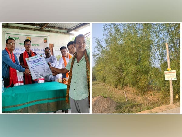 Assam: Solar fence installed at Goalpara to mitigate human-elephant conflict