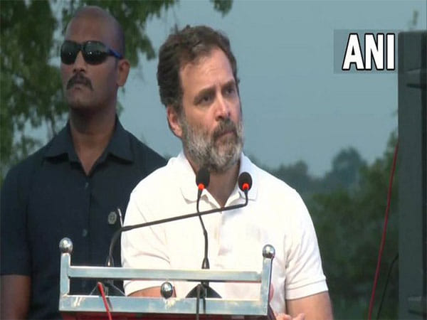 Rahul Gandhi moves Gujarat HC against Surat sessions court verdict in 'Modi surname' defamation case