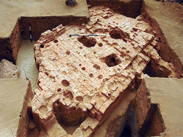 One or two DNA samples will not give us entire idea: ASI on DNA research showing Eurasian imprints in Kerala