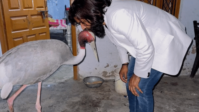 File photo of UP farmer Md Arif and the sarus he rescued | By special arrangement