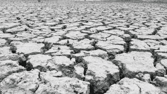 An almost dried-up bed of a natural pond on a hot summer day in New Delhi last year | ANI
