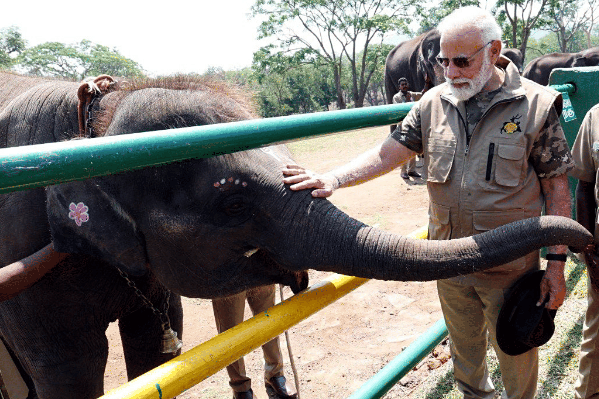 PM Modi at Theppakadu elephant camp in Mudumalai Tiger Reserve Sunday | ANI