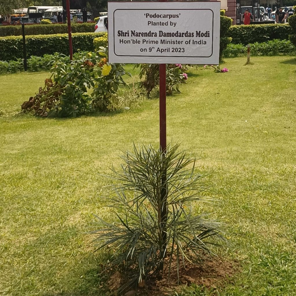 Sapling planted by PM Modi | Unnati Sharma | ThePrint