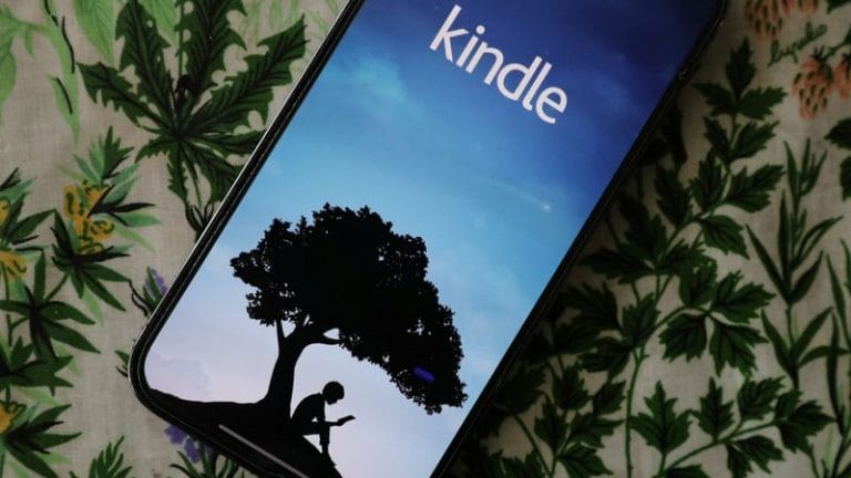 Porn on Amazon’s Kindle app draws flak from Apple, Alphabet – ‘needs to strengthen content’