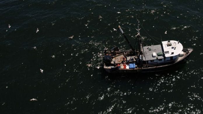 Birds fly around a fishing boat in the waters off Point Judith in Narragansett, Rhode Island, US | File Photo: Reuters