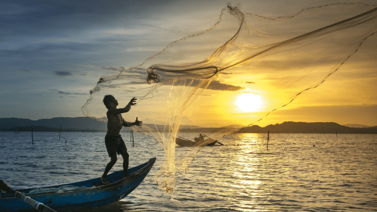 Aquaculture feeds billions every day – 4 ways to ensure its future is sustainable
