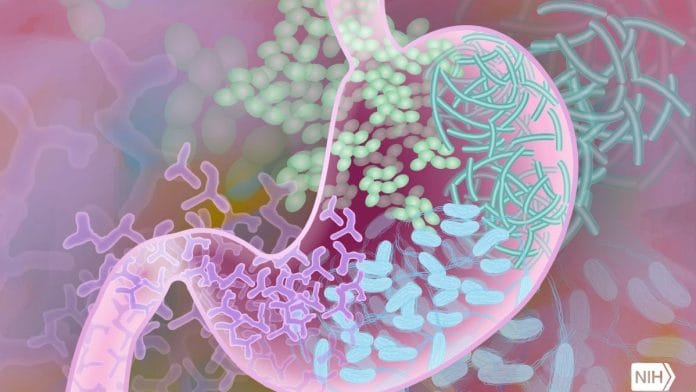 Representative image | Flickr