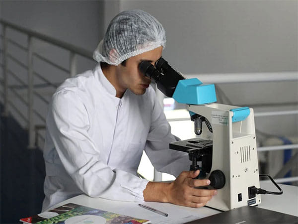 Brain activity decoder may reveal stories in people's minds: Research