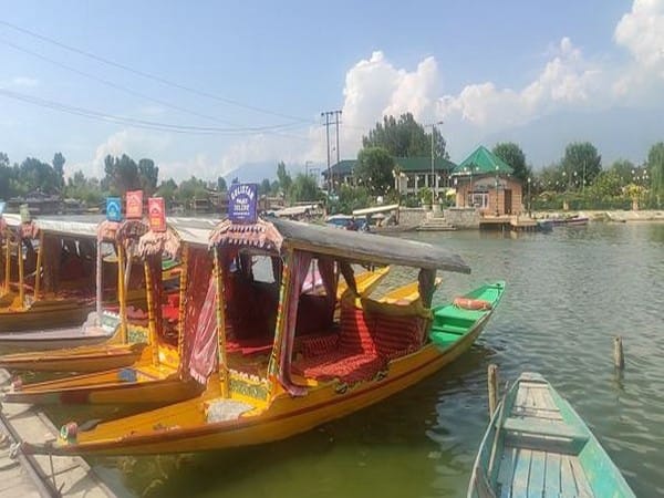 Kashmir's Shikara Wallas work tirelessly to keep pace with surging demand from tourists