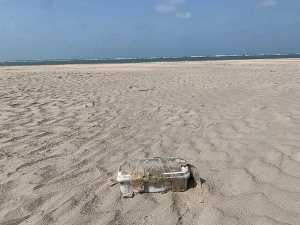 Gujarat: Methamphetamine valued at Rs 1.7 crore recovered from Kutch's Luna Bet coastal area