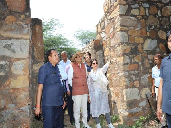 Delhi LG visits Mehrauli Archeological Park, instructs officials to work on time-bound restoration around site