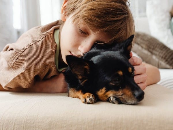 Living with pet cats or dogs linked with fewer food allergies among young adults: Study