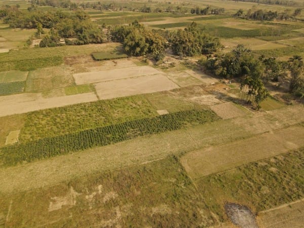 Assam CM Sarma shares pics after successful eviction drive at Burachapori Wildlife Sanctuary