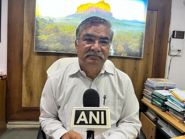 MP: Cheetah cubs died due to extreme weather conditions, fourth cub responding to treatment, says forest official 