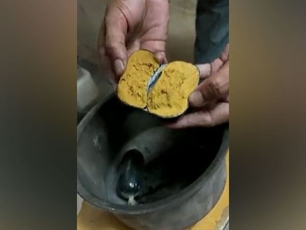 Telangana: Customs seizes gold worth Rs 42 lakh, concealed in man's rectum