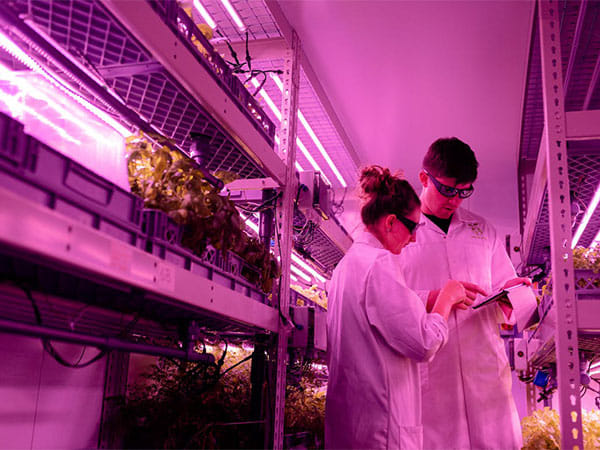 AI tools discovered five types of heart failure