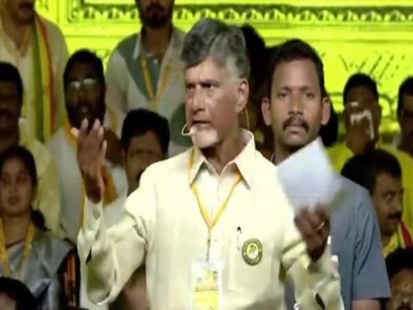 TDP is backbone for Telugu community across globe: party chief Chandrababu Naidu