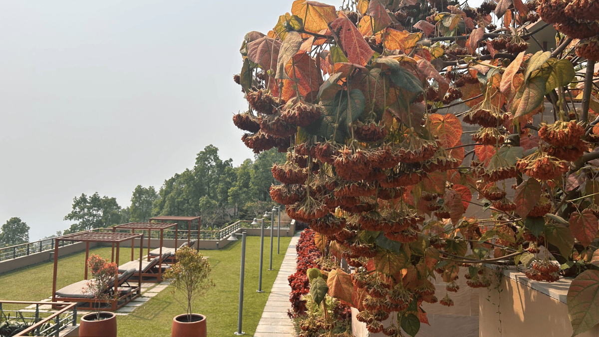 At the Taj Chia Kutir | Sreyashi Dey/ThePrint