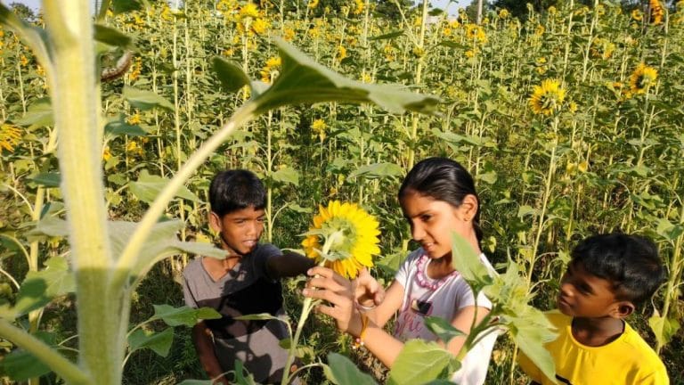 Covid upheaval not the only reason: Why homeschooling is taking off in India