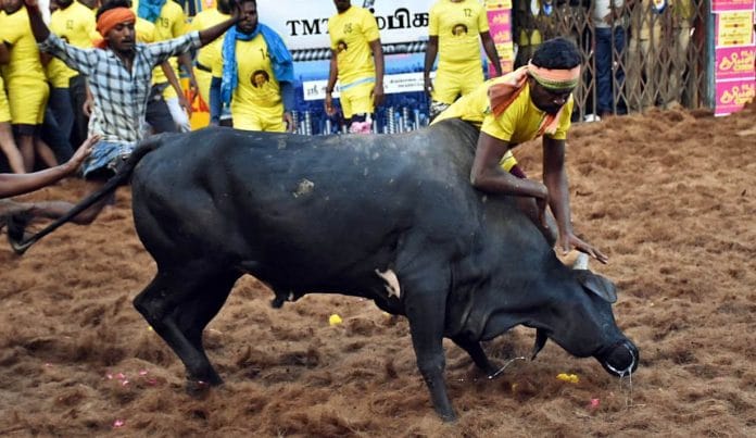 Representational image | ANI