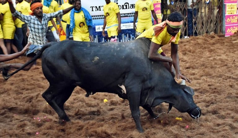 SubscriberWrites: Where tradition meets the arena