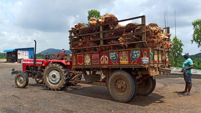 A farmer prepares to unload oil palm bunches from a tractor trolley in a mill at Dwaraka Tirumala in the southern state of Andhra Pradesh | File Photo: Reuters