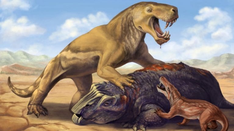 South African fossils reveal ancient beast’s epic journey to oblivion