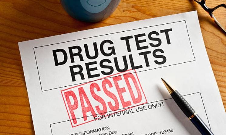 Old Style Aloe Toxin Rid Shampoo Review: Can It Help With Hair Detox?