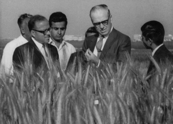 Image via special arrangement