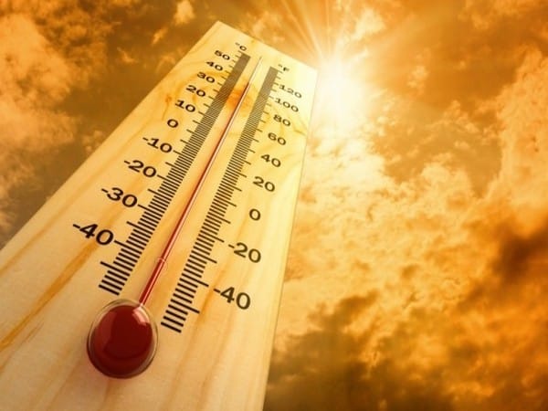 West Bengal: IMD issues heatwave warning for various districts