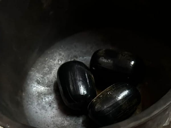 Two arrested with gold worth Rs 1 cr hidden in rectum at Hyderabad airport