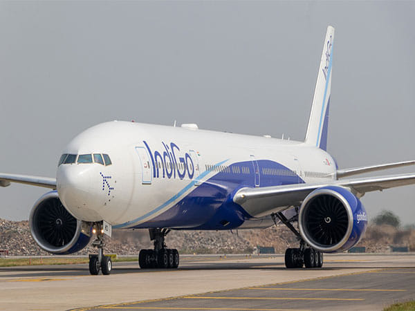 IndiGo offers connectivity to US via codeshare flights with Turkish Airlines