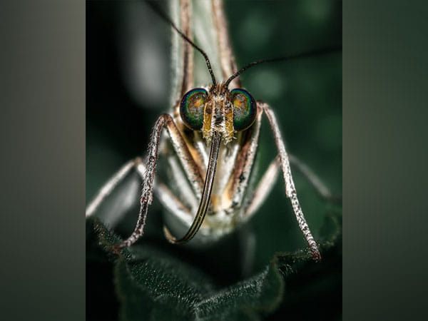 Malaria treatment made possible by cancer medication: Study