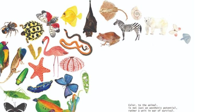 An illustration by Ipsa Jain from her book Actually, Colors Speak | by special arrangement