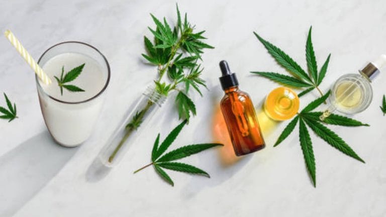 Best THC Detox Methods: How To Detox From THC In 2023?
