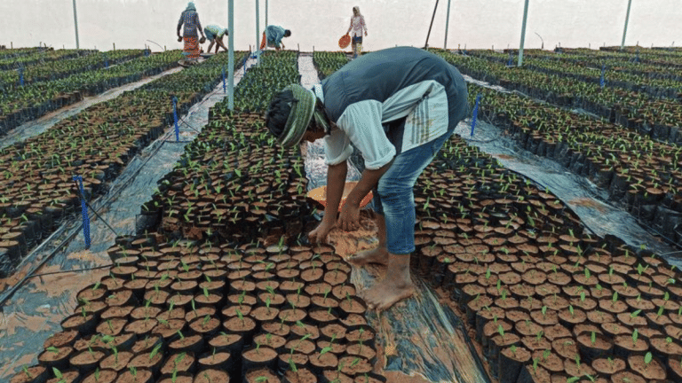 Telangana is the success story of Indian agritech. AI tools, soil testing, e-commerce & more