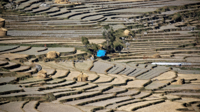 ‘Green’ infrastructure can be cheaper, less disruptive. It can also address traffic issues